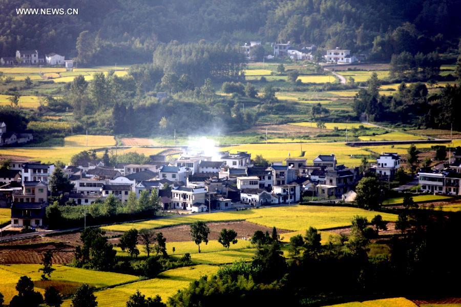 #CHINA-ANHUI-HUANGSHAN-PADDY RICE FIELDS-VIEW (CN)