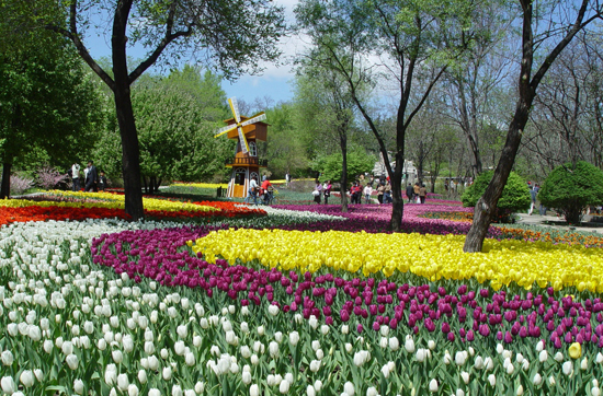 Shenyang Botanical Garden, one of the 'top 10 attractions in Shenyang, China' by China.org.cn.