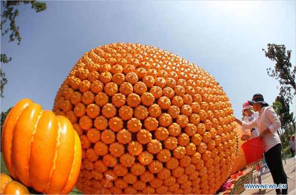 People work on a 'pumpkin peanut' in Seyuan of Nantong, east China's Jiangsu Province, Sept. 16, 2013. Seyuan will hold its first All-Saint's Day Pumpkin Festival from Sept. 25 to Nov. 25, in which more than 30,000 artificial pumpkins will form a pumpkin kingdom. [Photo: Xinhua/Xu Congjun] 