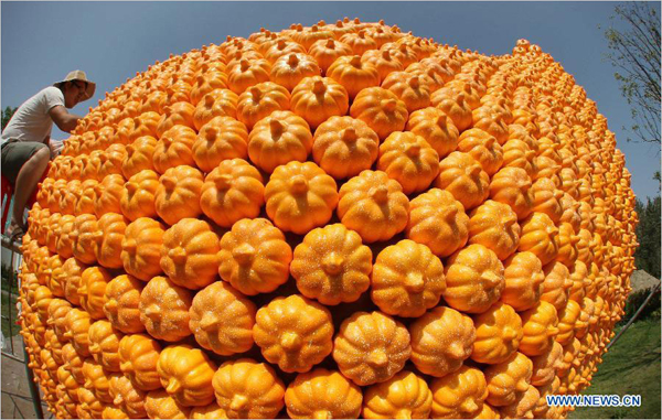 A man works on a 'pumpkin peanut' in Seyuan of Nantong, east China's Jiangsu Province, Sept. 16, 2013. Seyuan will hold its first All-Saint's Day Pumpkin Festival from Sept. 25 to Nov. 25, in which more than 30,000 artificial pumpkins will form a pumpkin kingdom. [Photo: Xinhua