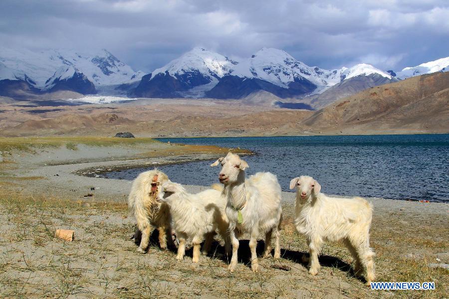 #CHINA-XINJIANG-KARAKOL-SCENERY (CN) 