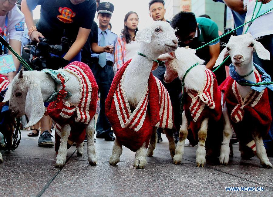 CHINA-SHANGHAI-INTERNATIONAL WOOL CARNIVAL(CN)