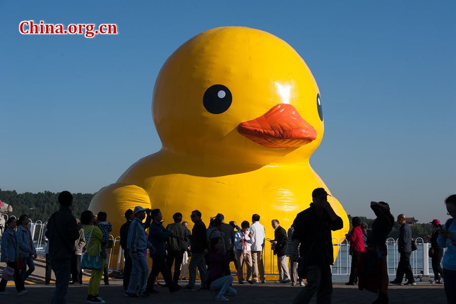 The 18-meter-tall floating yellow Rubber Duck appears on Thursday at Kunming Lake in the Summer Palace, Beijing, China, after its debut at the International Garden Expo Park for nearly a month . The Duck, a brainchild of Dutch artist Florentijn Hofman, is made of over 200 pieces of rubber. It takes four hours to get it fully inflated. It will be on display until Oct. 26. [Chen Boyuan / China.org.cn]