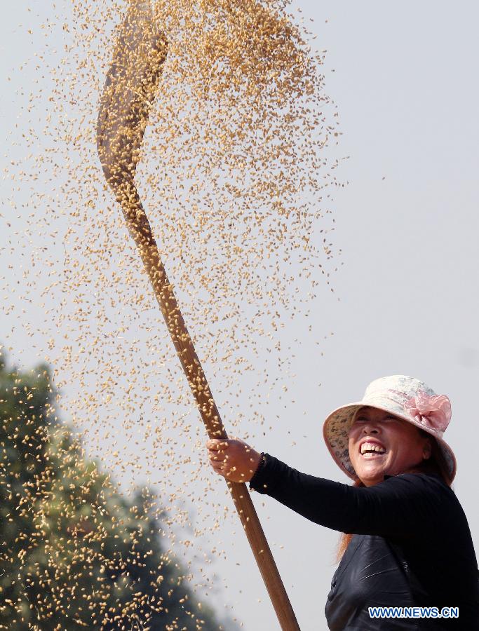 #CHINA-AGRICULTURE-AUTUMN HARVEST(CN)