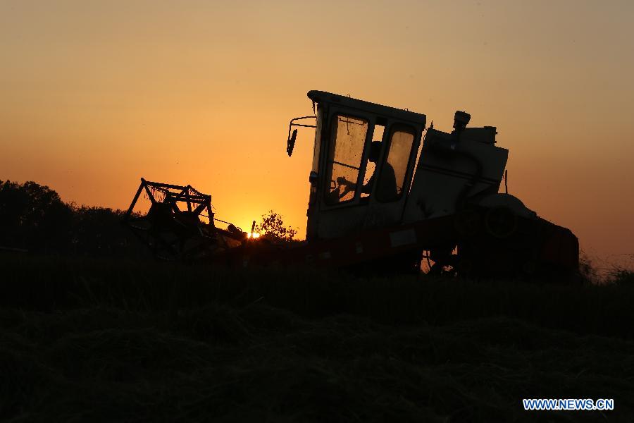 #CHINA-AGRICULTURE-AUTUMN HARVEST(CN)