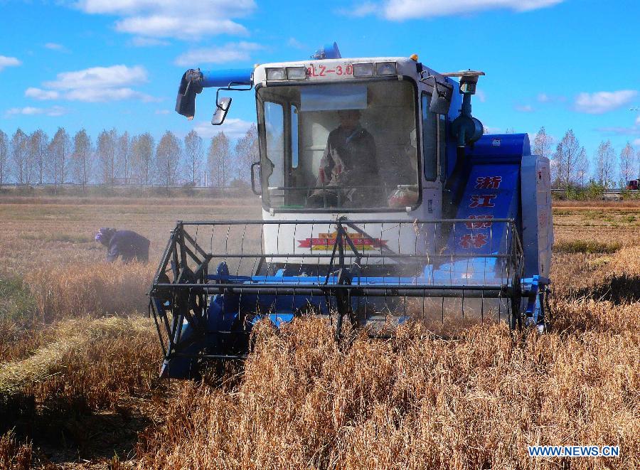 #CHINA-AGRICULTURE-AUTUMN HARVEST(CN)