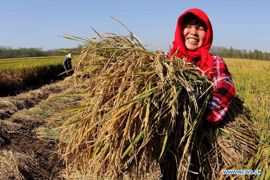 #CHINA-AGRICULTURE-AUTUMN HARVEST(CN)