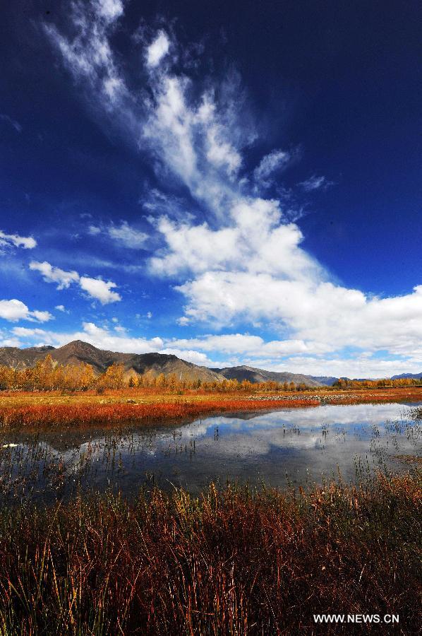 CHINA-TIBET-AUTUMN SCENERY(CN)