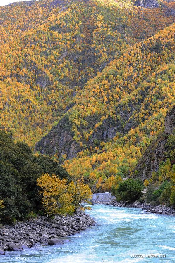 CHINA-TIBET-AUTUMN SCENERY(CN)