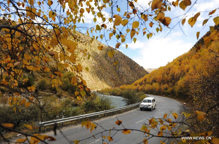 CHINA-TIBET-AUTUMN SCENERY(CN)