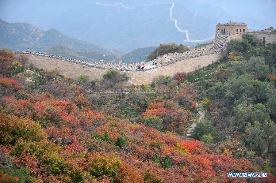 The Badaling section of the Great Wall is seen surrounded by red leaves in Beijing, capital of China, Oct. 13, 2013.