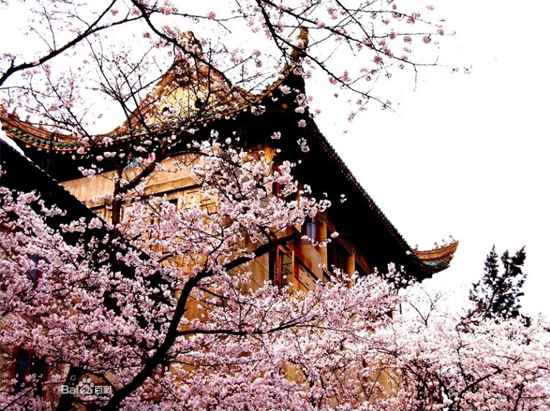 Wuhan University, one of the 'top 10 attractions in Wuhan, China' by China.org.cn.