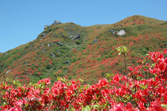 Daweishan Forest Park, one of the 'top 10 attractions in Changsha, China' by China.org.cn.