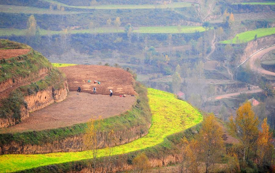 CHINA-GANSU-AUTUMN SCENERY (CN)