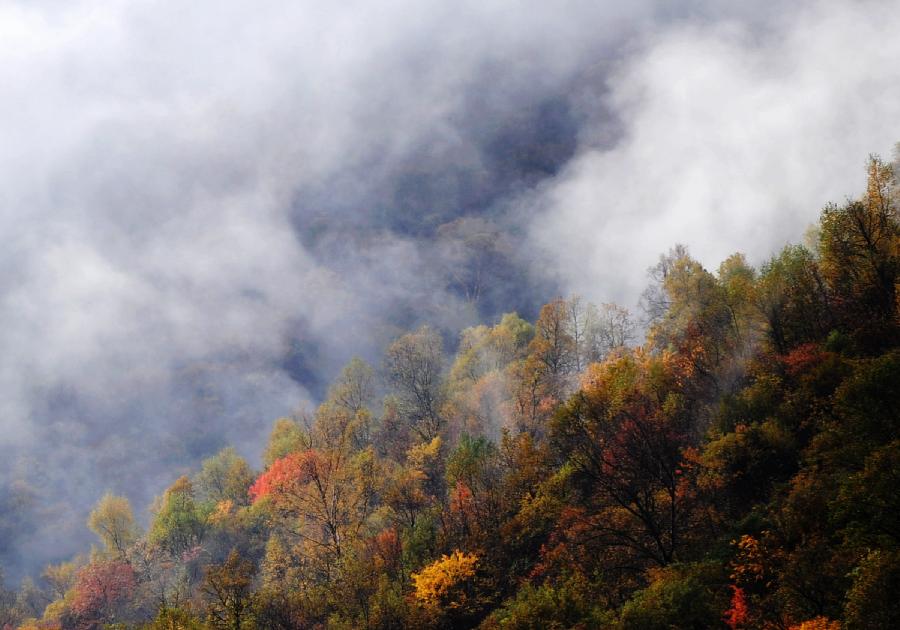 CHINA-GANSU-AUTUMN SCENERY (CN)