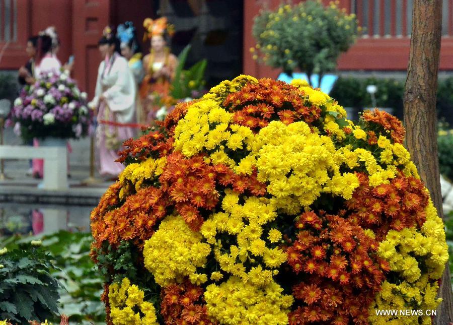 CHINA-HENAN-KAIFENG-CHRYSANTHEMUM EXHIBITION (CN)