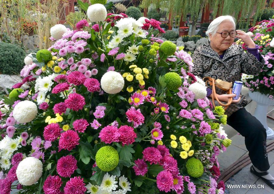 CHINA-HENAN-KAIFENG-CHRYSANTHEMUM EXHIBITION (CN)