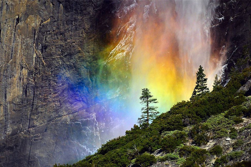 Colorful fall in Yosemite National Park