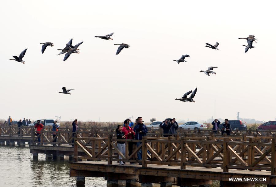 #CHINA-SHANDONG-NATURAL RESERVE (CN)