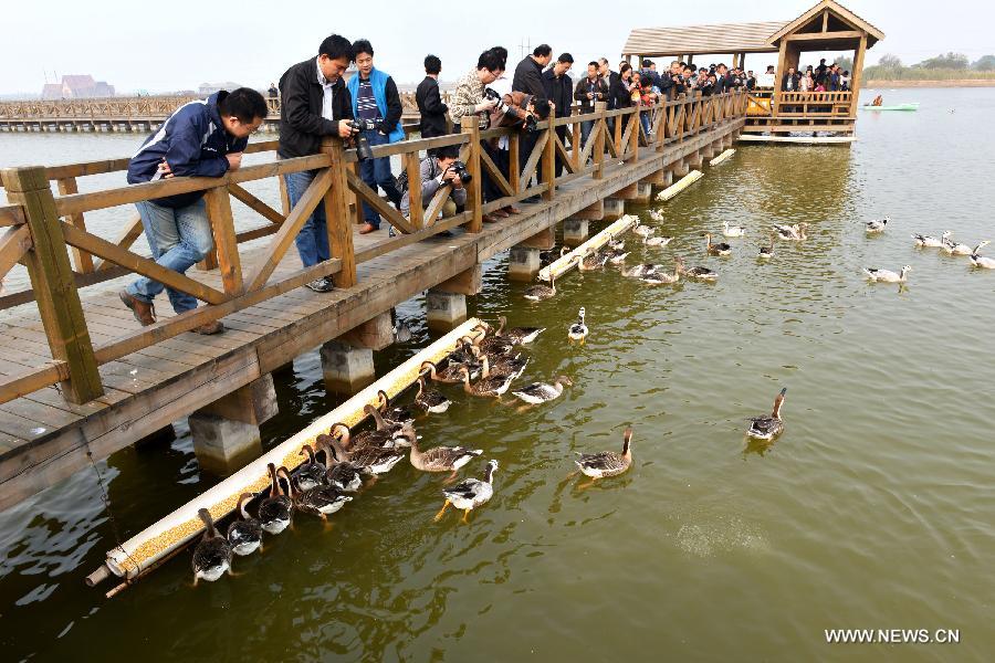 #CHINA-SHANDONG-NATURAL RESERVE (CN)