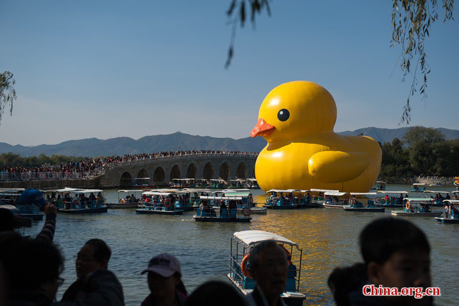 Some 4,0000 visitors rush into the Summer Palace in Beijing on Sunday, the last weekend day before the iconic Giant Rubber Duck will leave Beijing on October 26. [Photo / Chen Boyuan / China.org.cn]