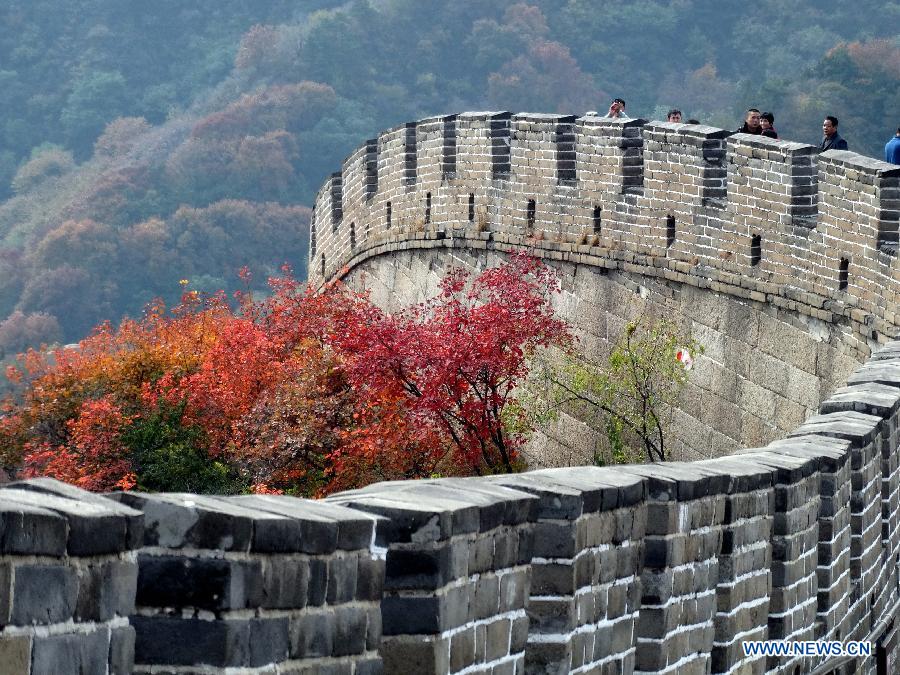 #CHINA-BEIJING-GREAT WALL-RED AUTUMNAL LEAVES(CN)