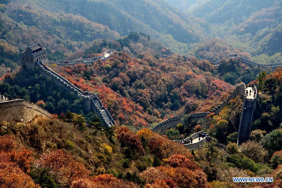 #CHINA-BEIJING-GREAT WALL-RED AUTUMNAL LEAVES(CN)