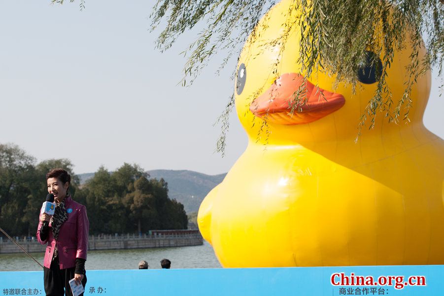 Chun Ni, a celebrated TV anchor with BTV hosts the Farewell, Rubber Duck ceremony on Thursday in Beijing at the Summer Palace. [Photo / Chen Boyuan / China.org.cn]
