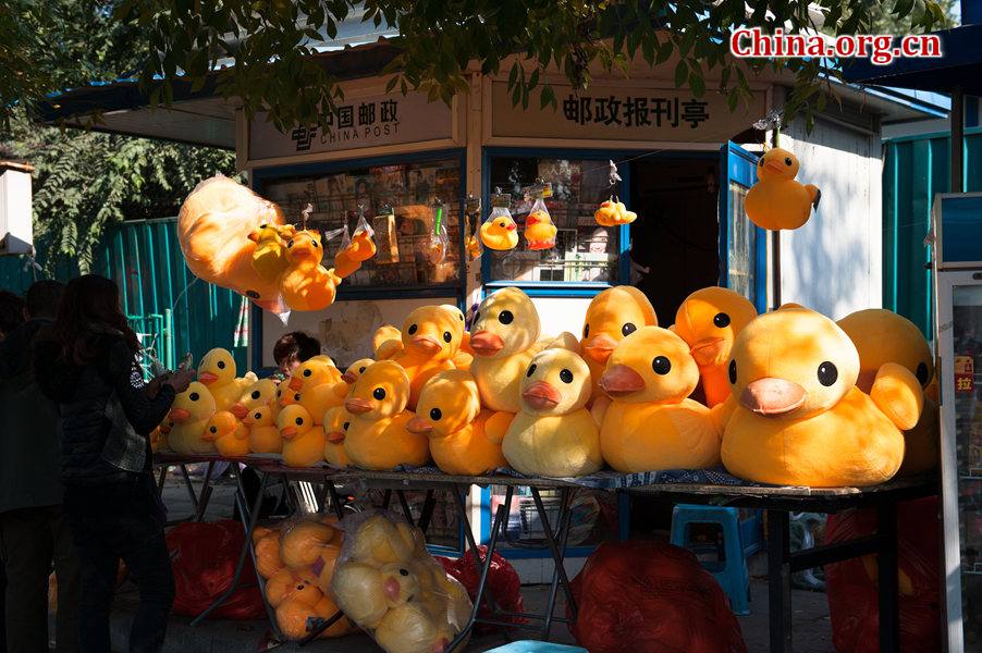 Outside the Summer Palace, copycats of the Dutch Rubber Duck are still on sale on Thursday. The Beijing Design Week authorities have reportedly launched a handful of anti-piracy raids nationwide to protect the copyright of the authentic Rubber Duck. [Photo / China.org.cn]