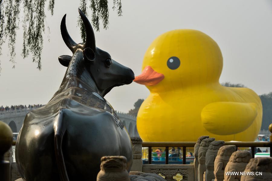 CHINA-BEIJING-RUBBER DUCK-LAST DAY (CN) 