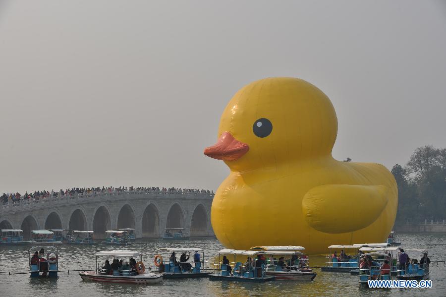 CHINA-BEIJING-RUBBER DUCK-LAST DAY (CN) 