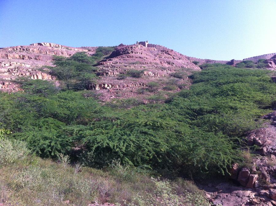 INDIA-JODHPUR-RAO JODHA DESERT ROCK PARK