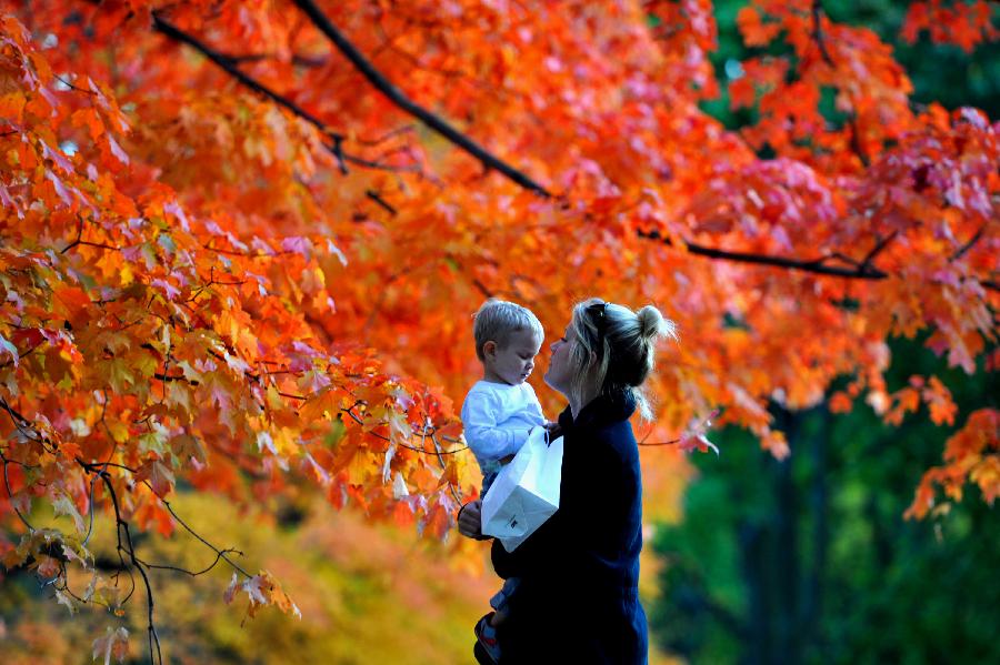 US-NEW YORK-CENTRAL PARK-LATE AUTUMN