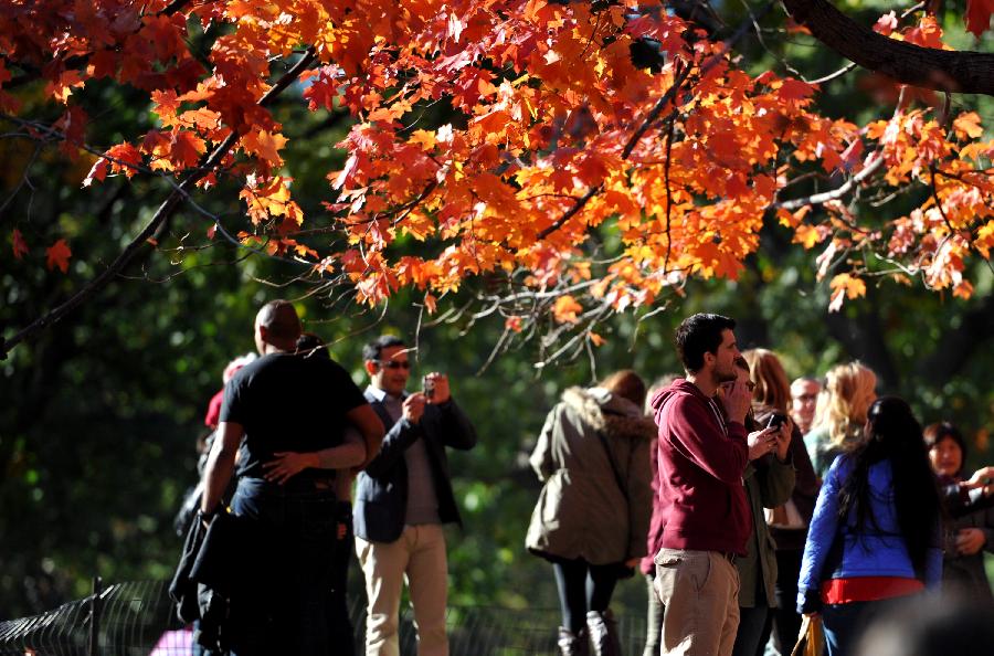 US-NEW YORK-CENTRAL PARK-LATE AUTUMN