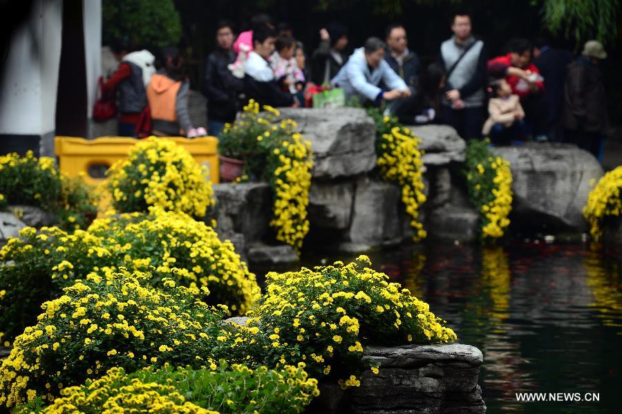 CHINA-JINAN-BAOTU SPRING-CHRYSANTHEMUM SHOW (CN)