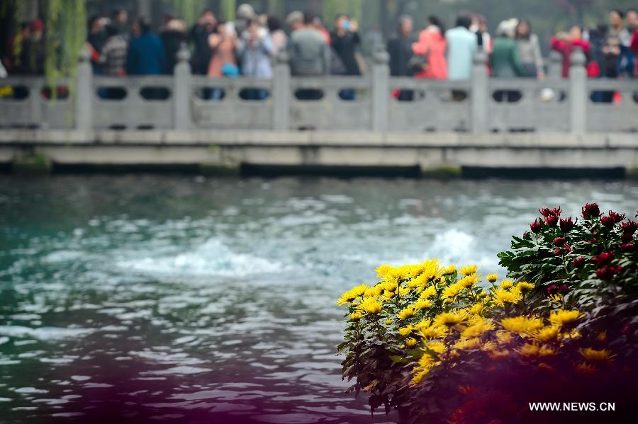 CHINA-JINAN-BAOTU SPRING-CHRYSANTHEMUM SHOW (CN)