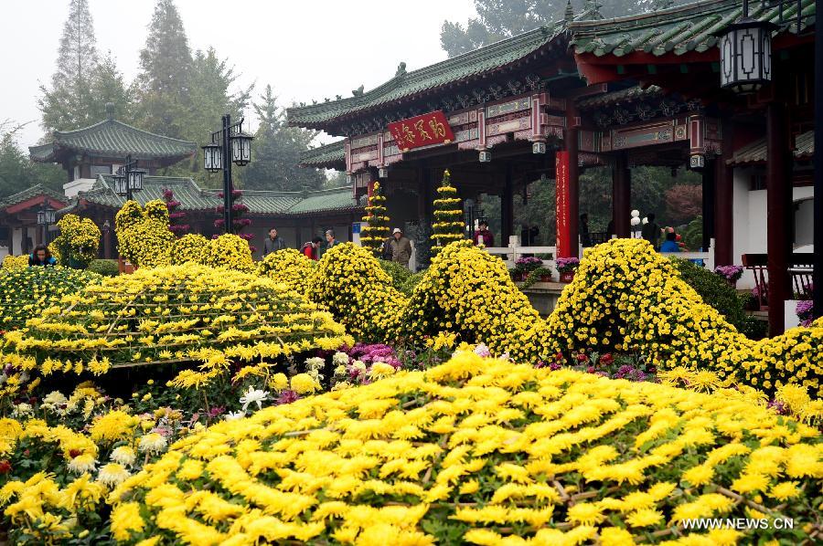 CHINA-JINAN-BAOTU SPRING-CHRYSANTHEMUM SHOW (CN)