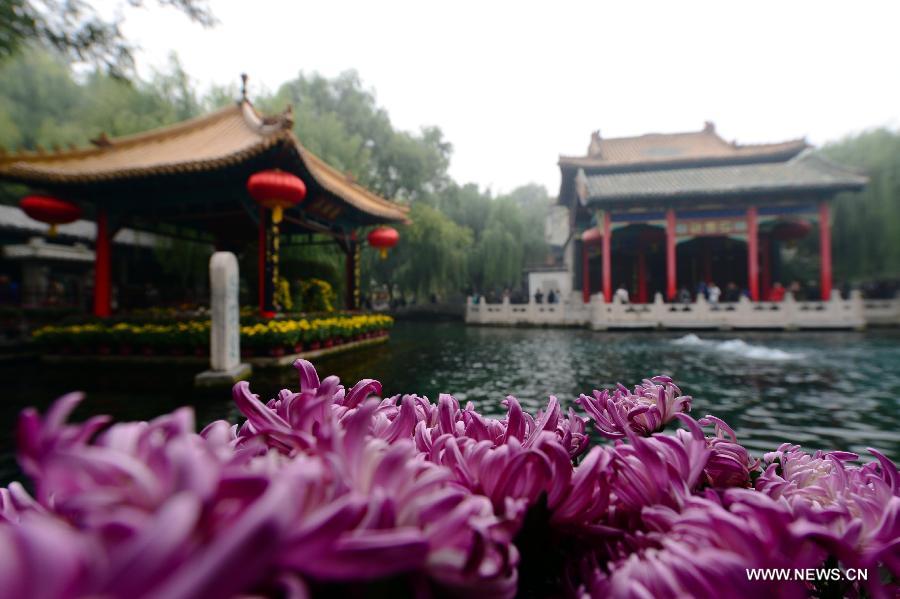 CHINA-JINAN-BAOTU SPRING-CHRYSANTHEMUM SHOW (CN)