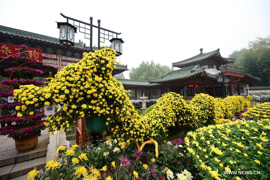 CHINA-JINAN-BAOTU SPRING-CHRYSANTHEMUM SHOW (CN)