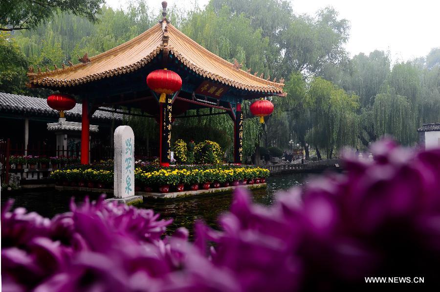 CHINA-JINAN-BAOTU SPRING-CHRYSANTHEMUM SHOW (CN)