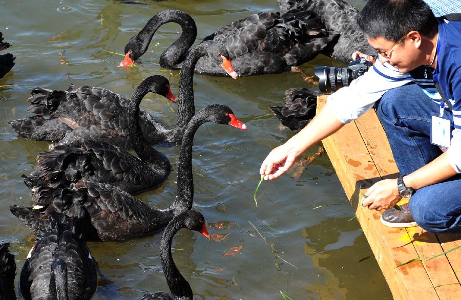 CHINA-YUNNAN-PUZHEHEI-MIGRANT BIRDS (CN) 