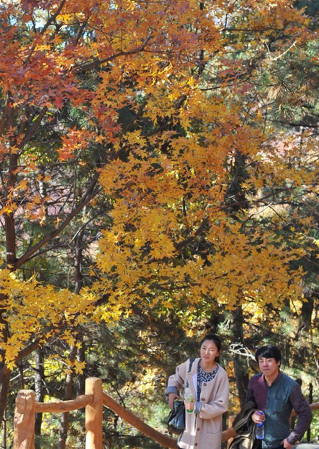 CHINA-BEIJING-GREAT WALL-AUTUMN SCENERY (CN)