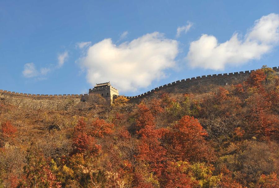 CHINA-BEIJING-GREAT WALL-AUTUMN SCENERY (CN)