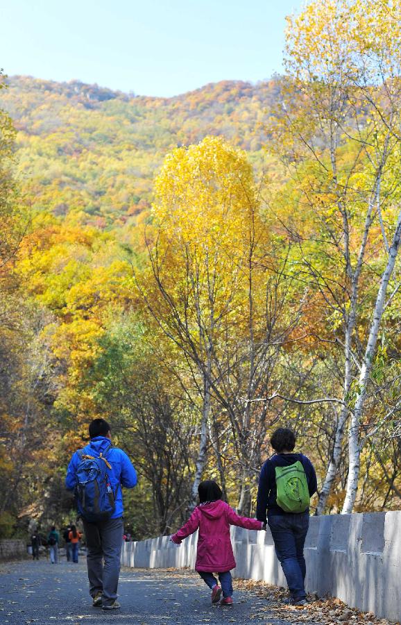 CHINA-BEIJING-AUTUMN SCENERY (CN)