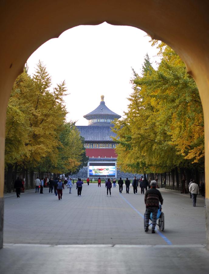 CHINA-BEIJING-AUTUMN SCENERY (CN)