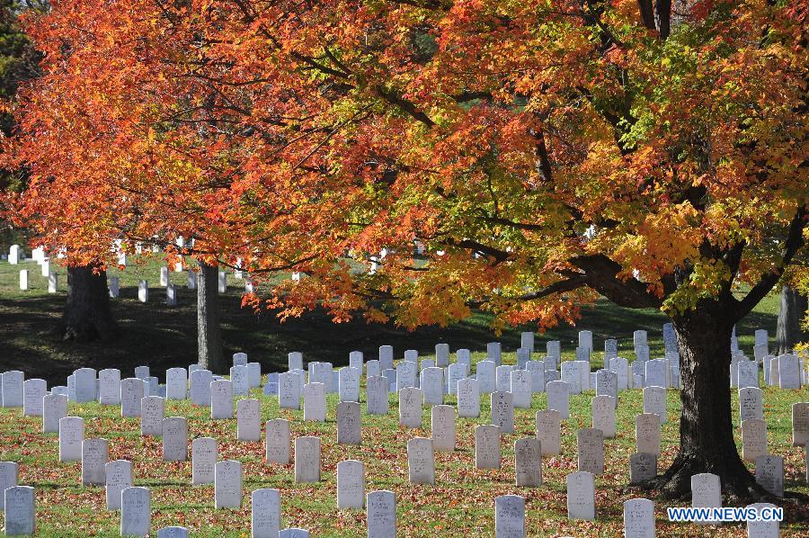 US-WASHINGTON-WEATHER-ARLINGTON NATIONAL CEMETERY