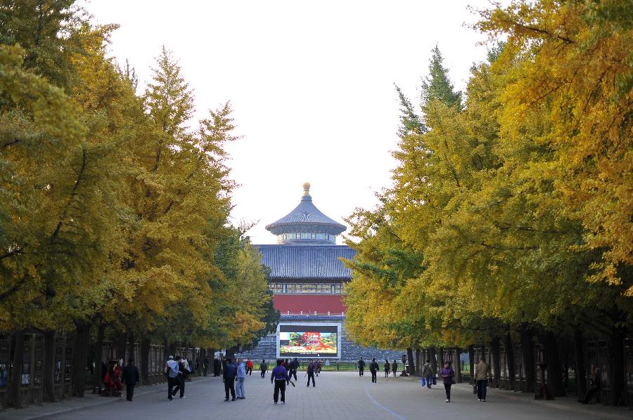 CHINA-BEIJING-AUTUMN SCENERY (CN)