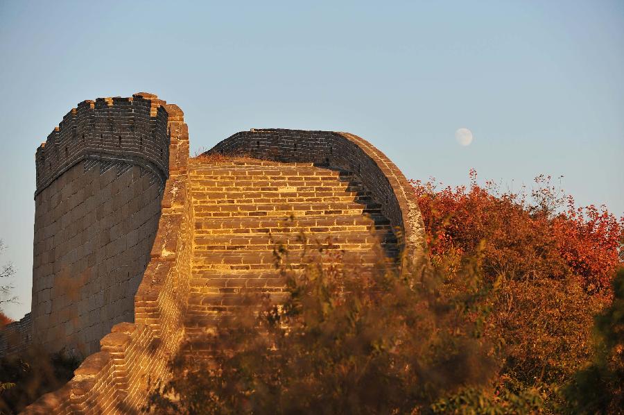 CHINA-BEIJING-AUTUMN SCENERY (CN)