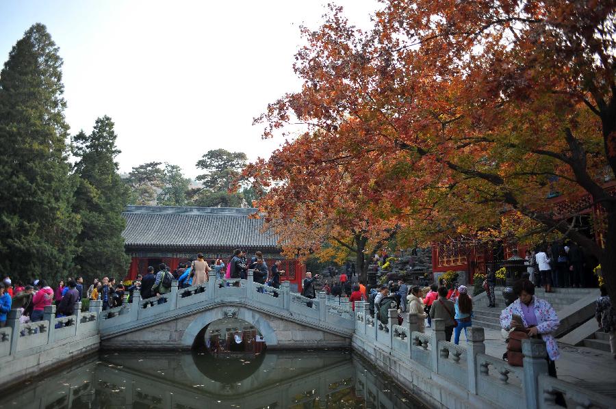 CHINA-BEIJING-AUTUMN SCENERY (CN)