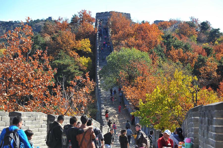 CHINA-BEIJING-AUTUMN SCENERY (CN)